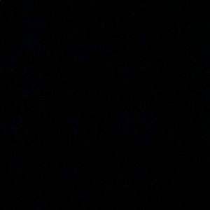 Meet your Posher, Isabella